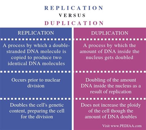 replication vs duplication definition.